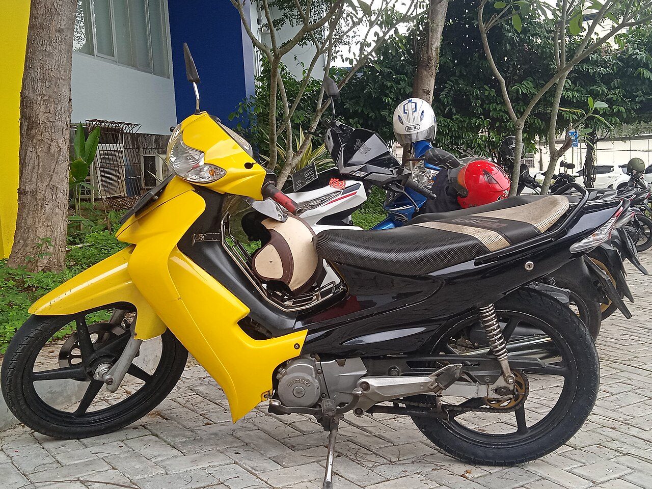 羽毛球新赛季前瞻:格局变化与潜在黑马